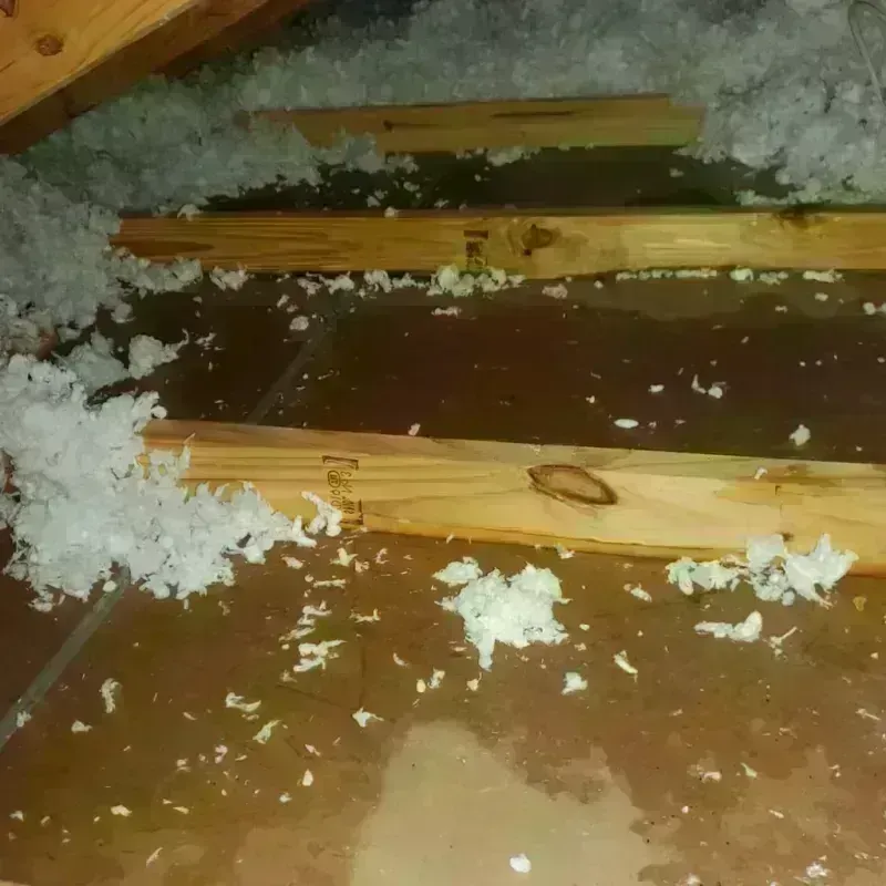 Attic Water Damage in Twin Lakes, CA